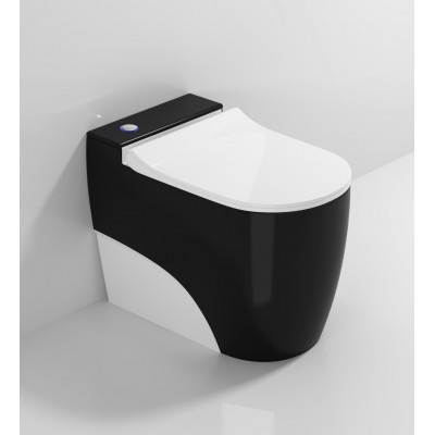 R005-02 YEXIZ Soft Close Seat Cover Plush Flushing System White Cover Plate Ceramic One-piece Toilets with Connection Pipe